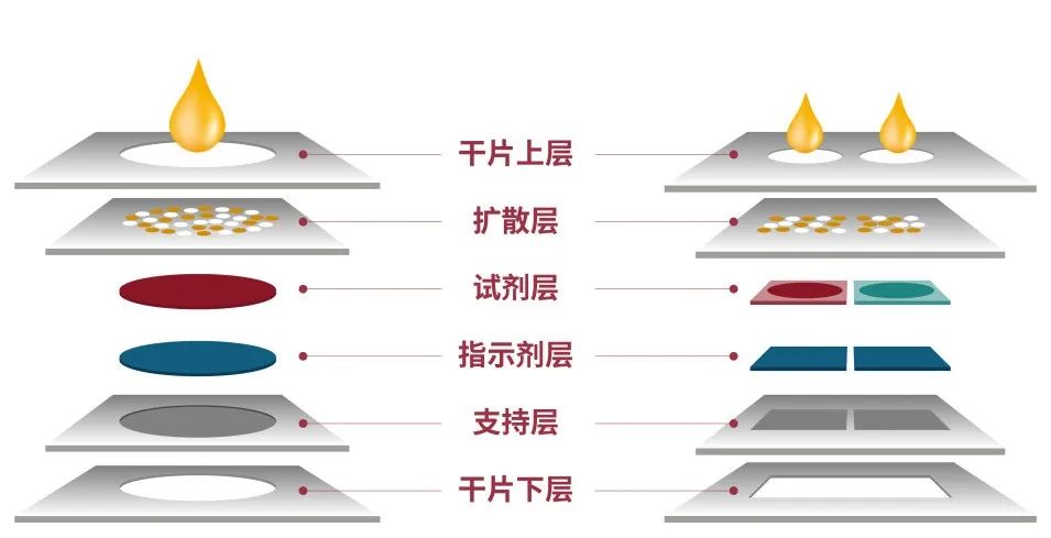 微信图片_20220905154706.jpg