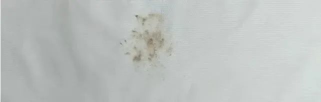 微信图片_20230522131955.jpg 微信图片_20230522131955.jpg