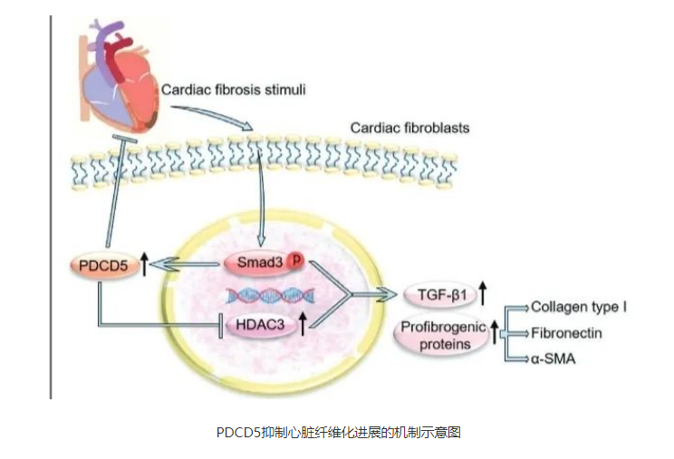 QQ浏览器截图20230625084054.png