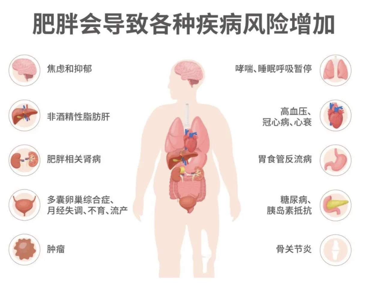 微信图片_20250619225849.png