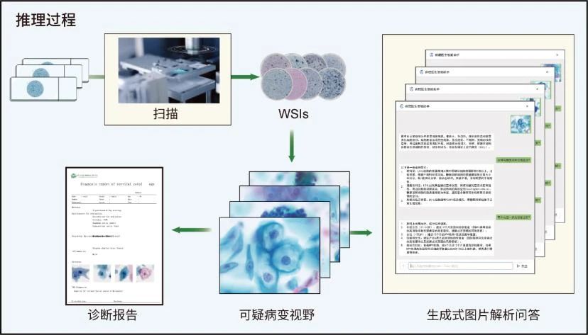 微信图片_2025-08-18_123717_468.jpg