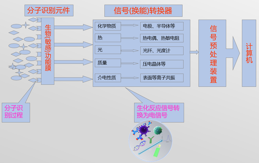 微信图片_2025-09-15_154542_010.png